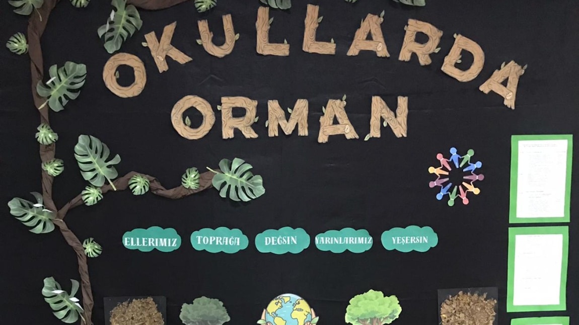 OKULLARDA ORMAN PROJESİ ÇALIMALARIMIZ