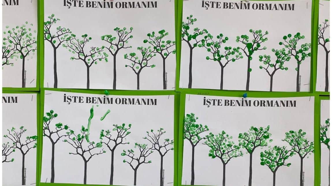 Yeşil Vatan Benim Okulum Geleceğe Çare Projesi